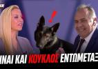 Τελωνειακός νόμιζε πως τον... φλερτάρει on air η Αναστασοπούλου [βίντεο] - Κεντρική Εικόνα